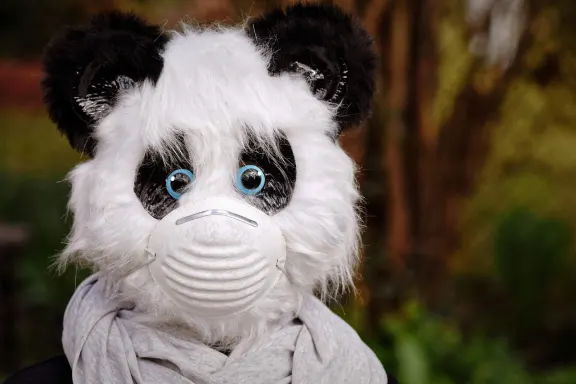 ダブリューイーエスティー カジノ サポート